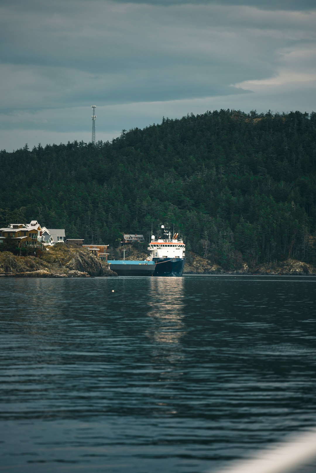 Active Buyers & Maritime Trade Intelligence