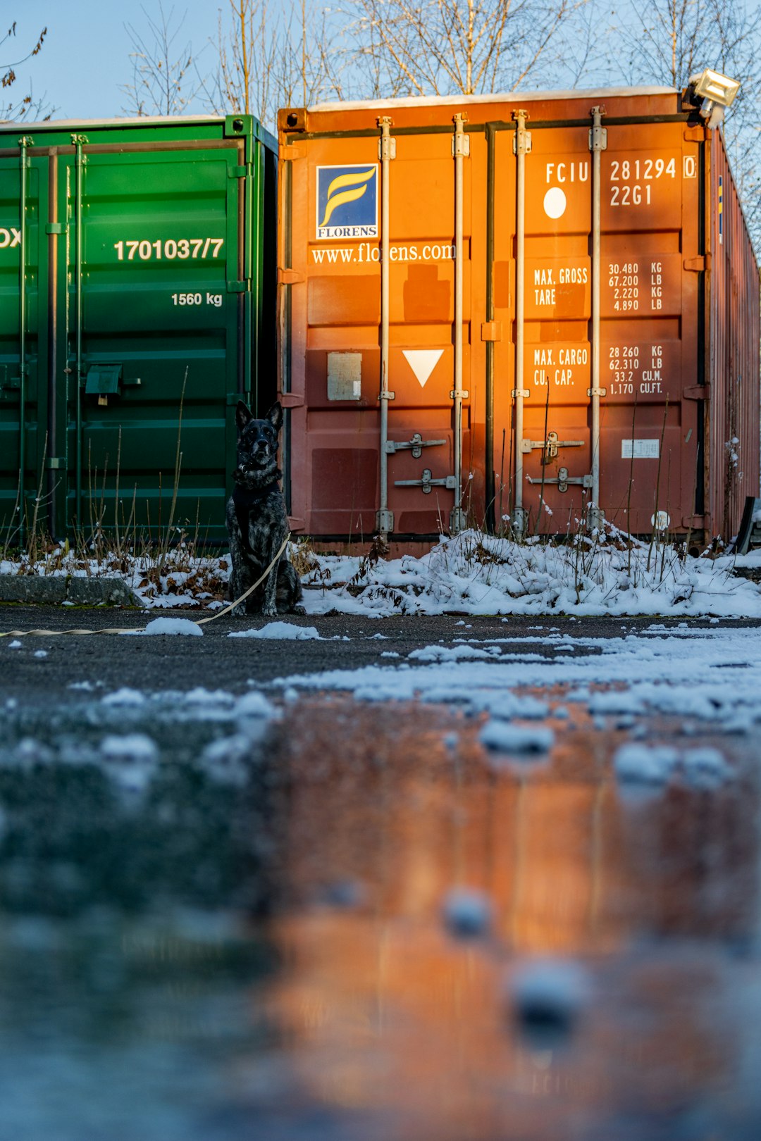 Q2 2026 Active Buyers & Shippers
