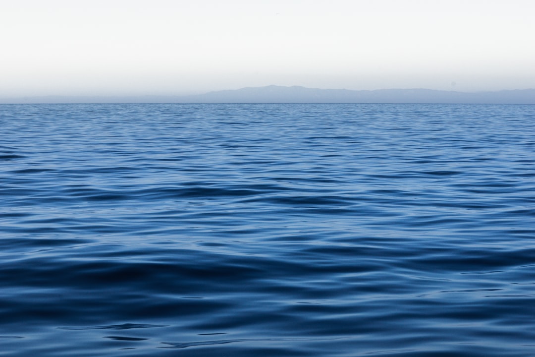 Active Buyers & Maritime Shippers Leaderboard