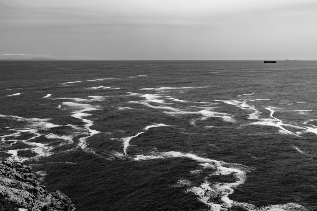 Active Buyers & Maritime Shippers