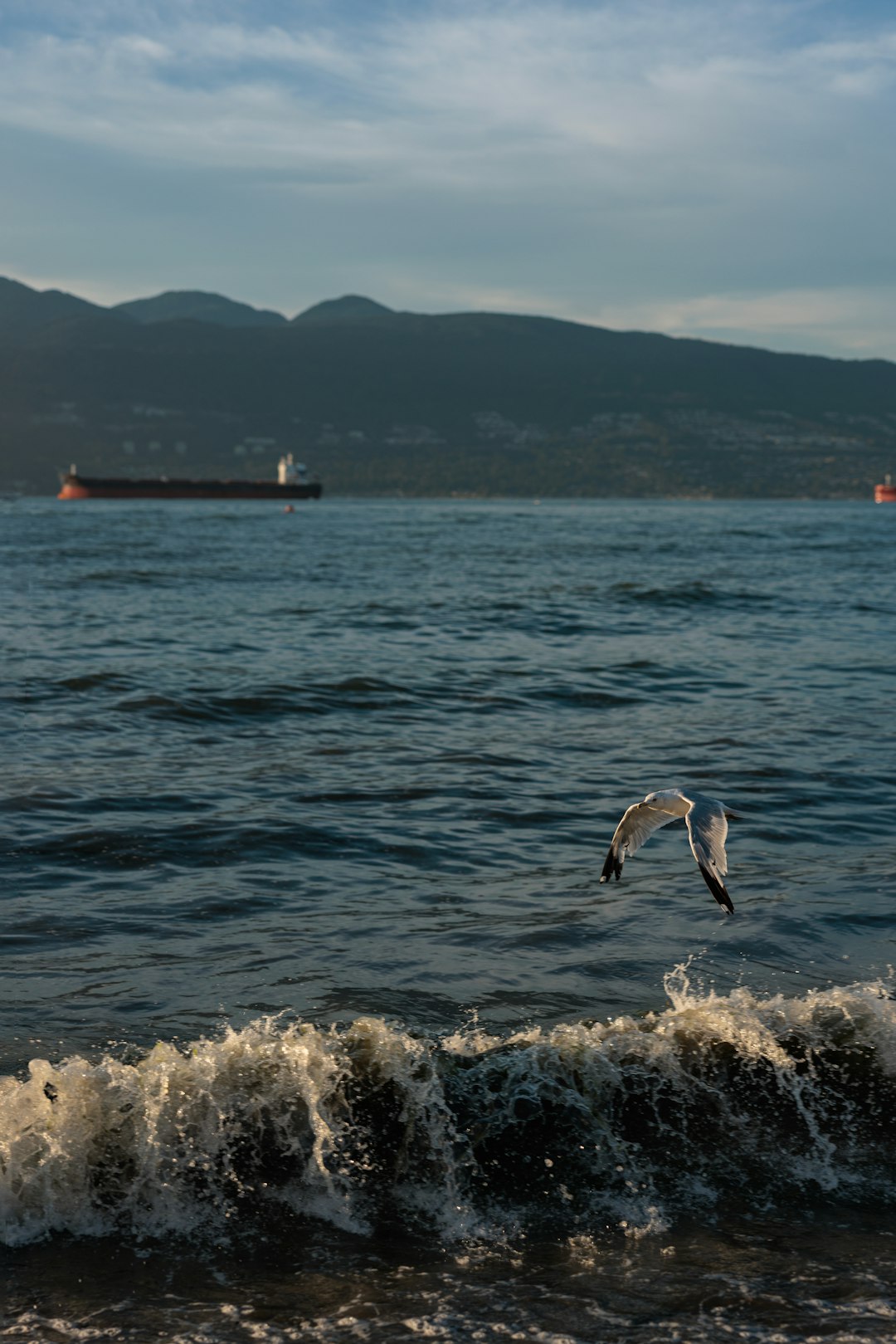 Active Buyers & Maritime Trade Intelligence
