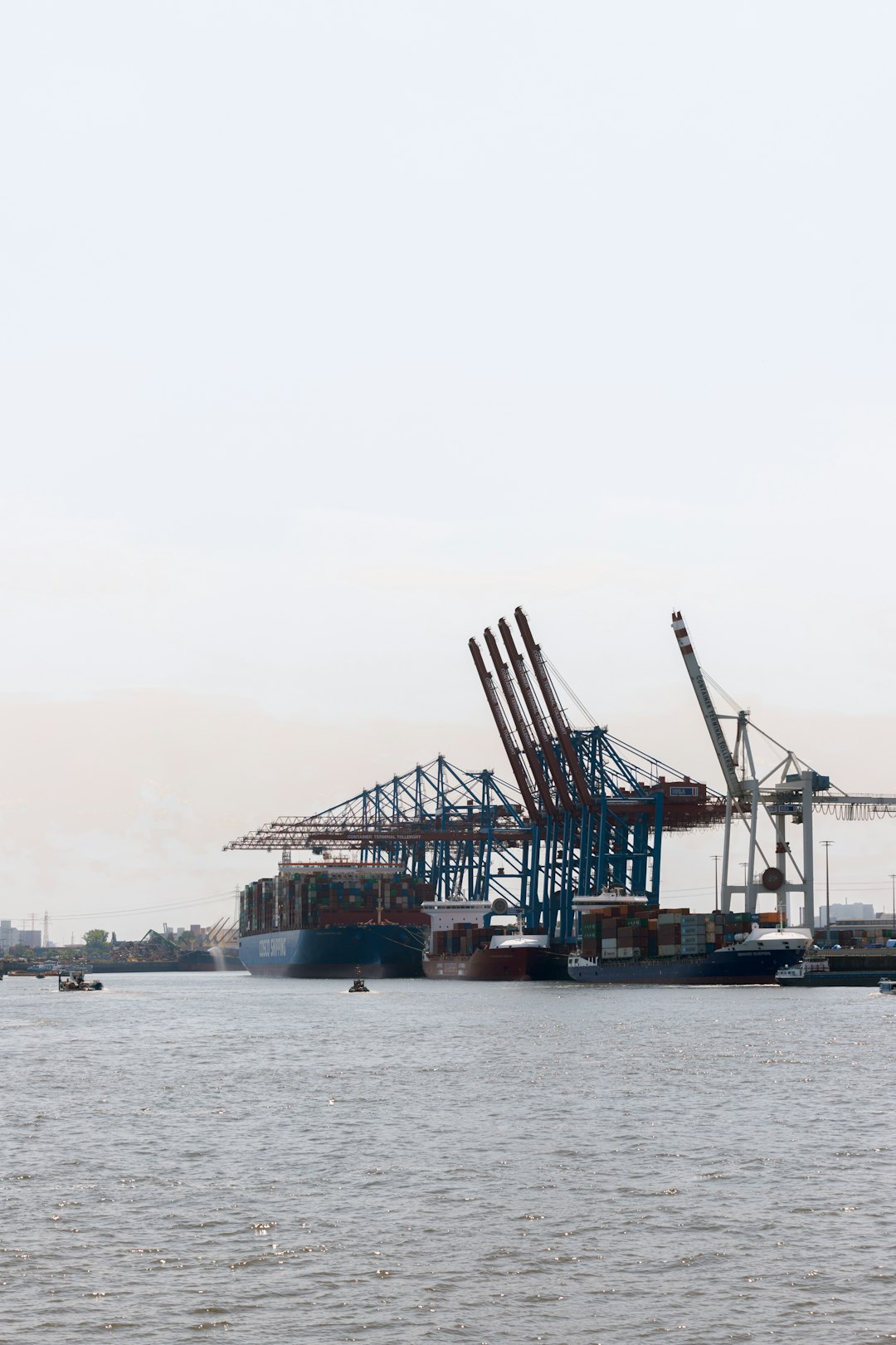 Active Buyers & Maritime Trade Leaderboard