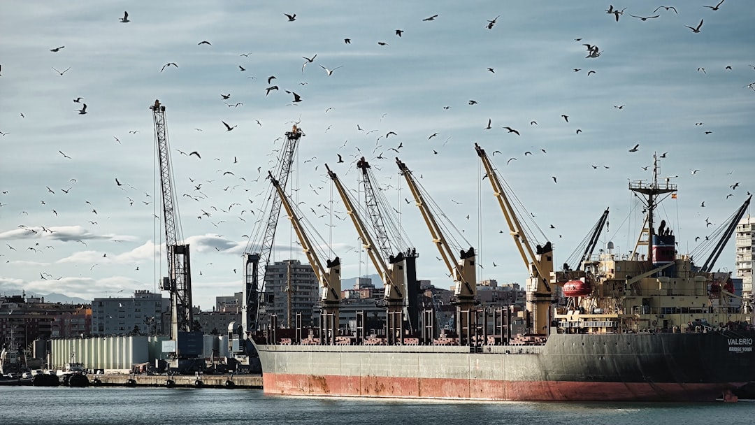 ACTIVE MEDICAL SUPPLY CHAIN LEADERS