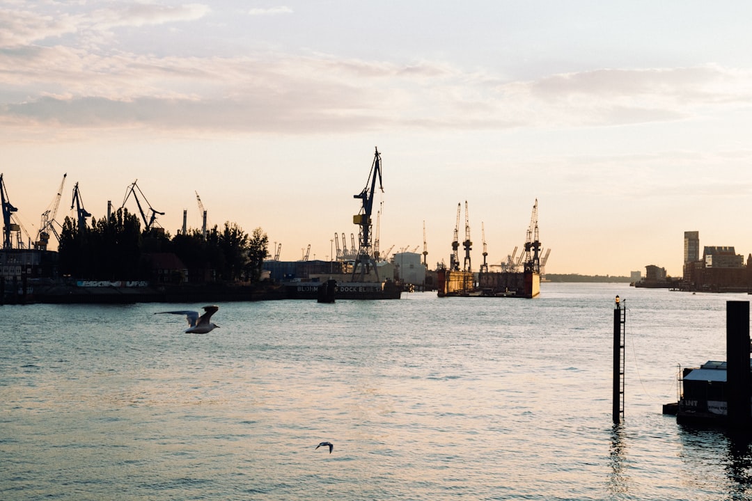 Active Maritime Buyers & Shippers Leaderboard