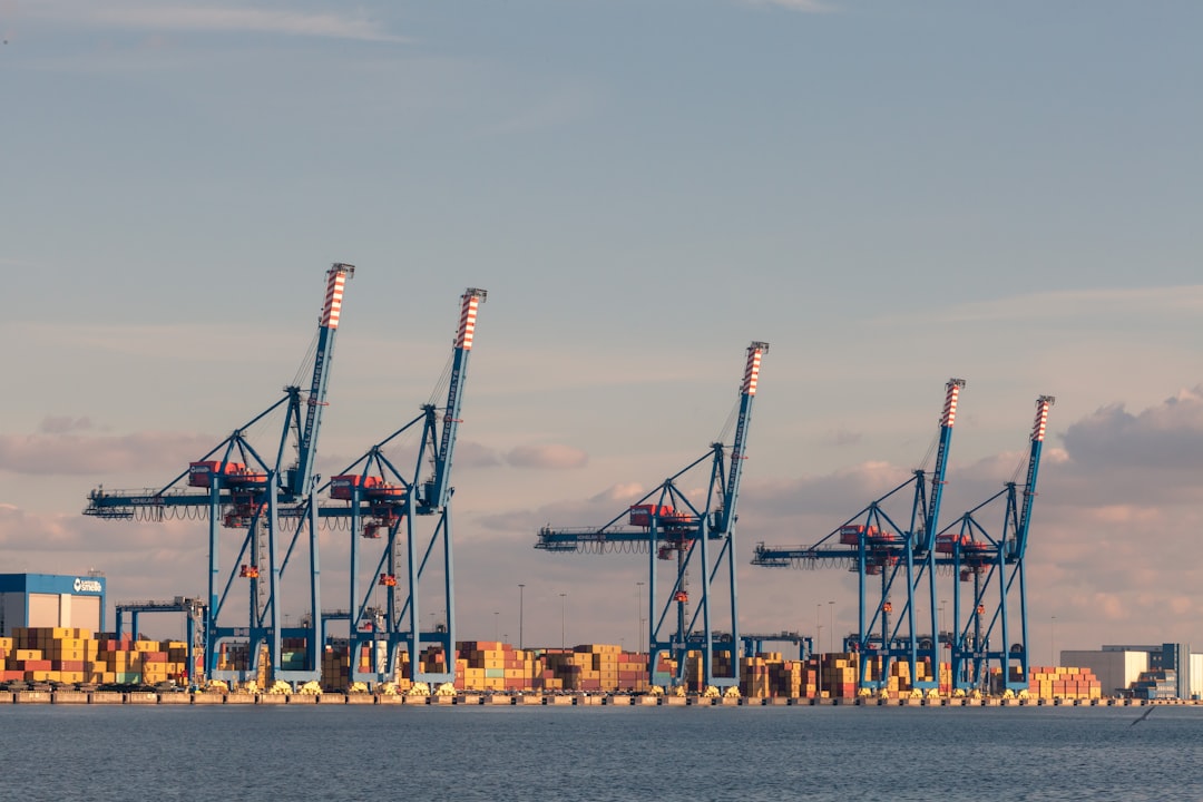 Active Maritime Buyers & Industrial Shippers