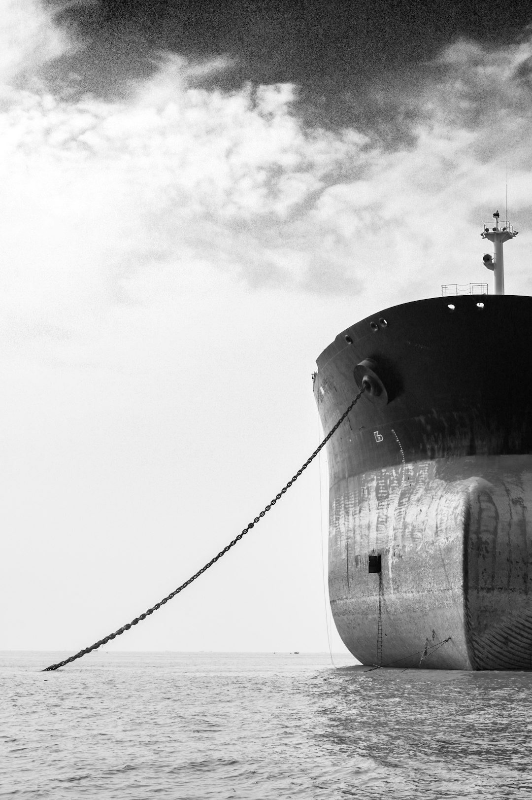 Active Maritime Importers & Exporters