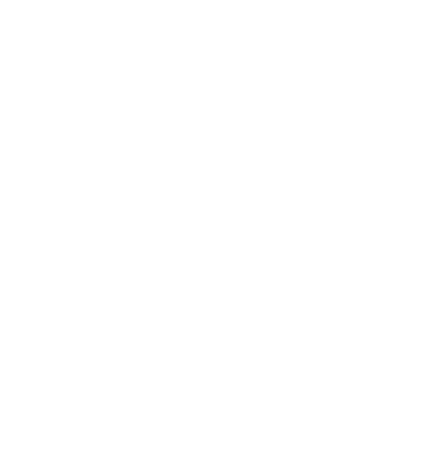 icon1